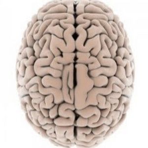 Meet your Posher, Cierra